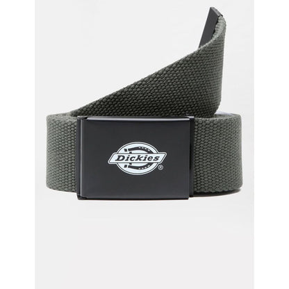 Ceinture Dickies Orcutt - Unique / Kaki